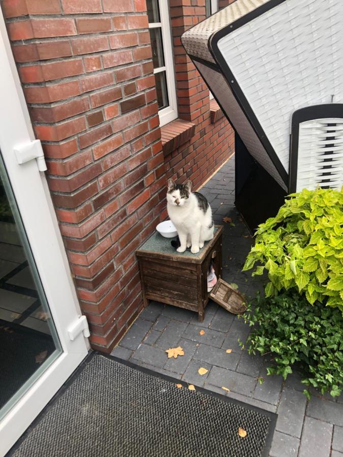 Wh Boardinghouse Aparthotel Papenburg Kültér fotó